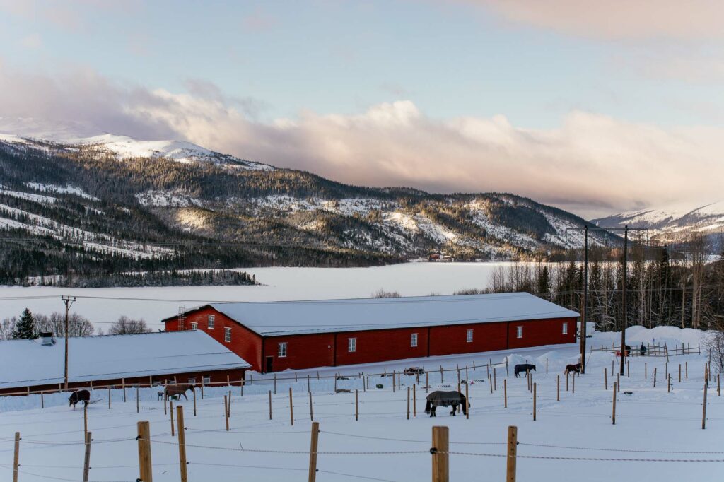 Åre Ridklubbs anläggning i vintrig solnedgång