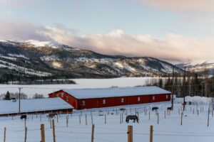 Åre Ridklubbs anläggning i vintrig solnedgång