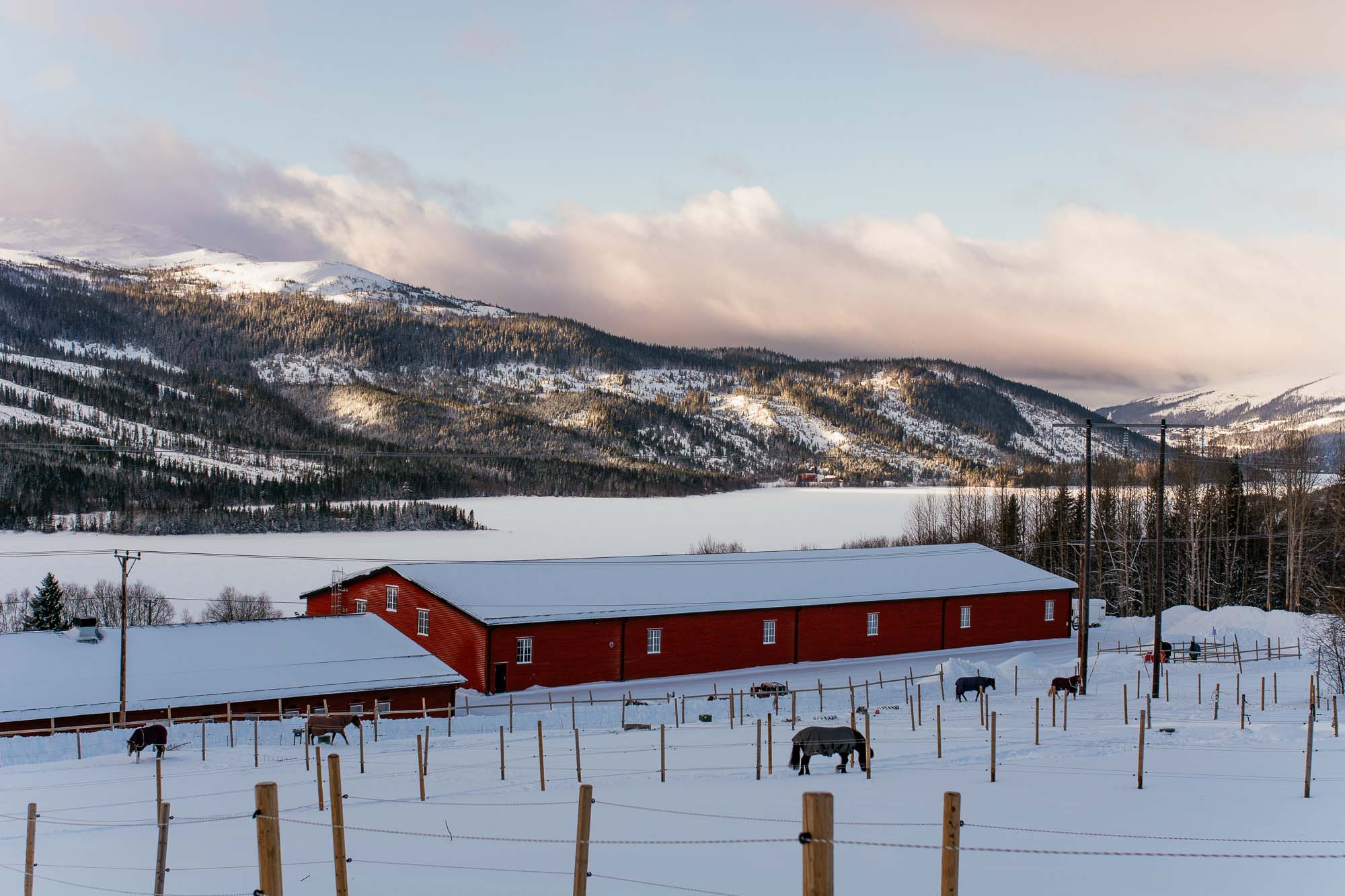 Åre Ridklubbs anläggning i vintrig solnedgång