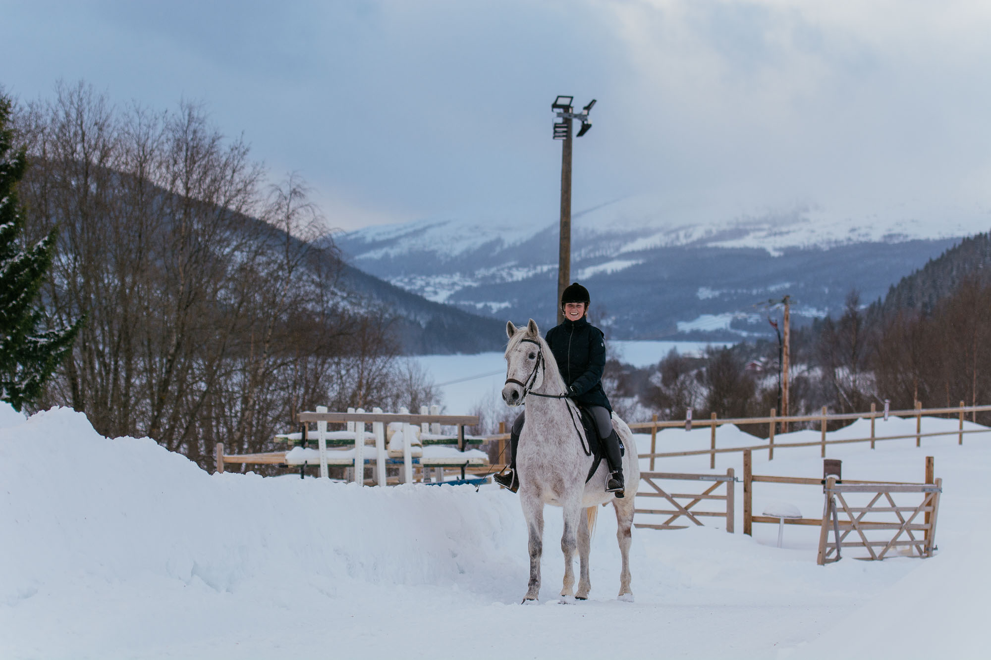 Häst och ryttare med utsikt över Åre