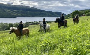Uteritt på Åre Ridklubb